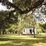 Magnolia Plantation